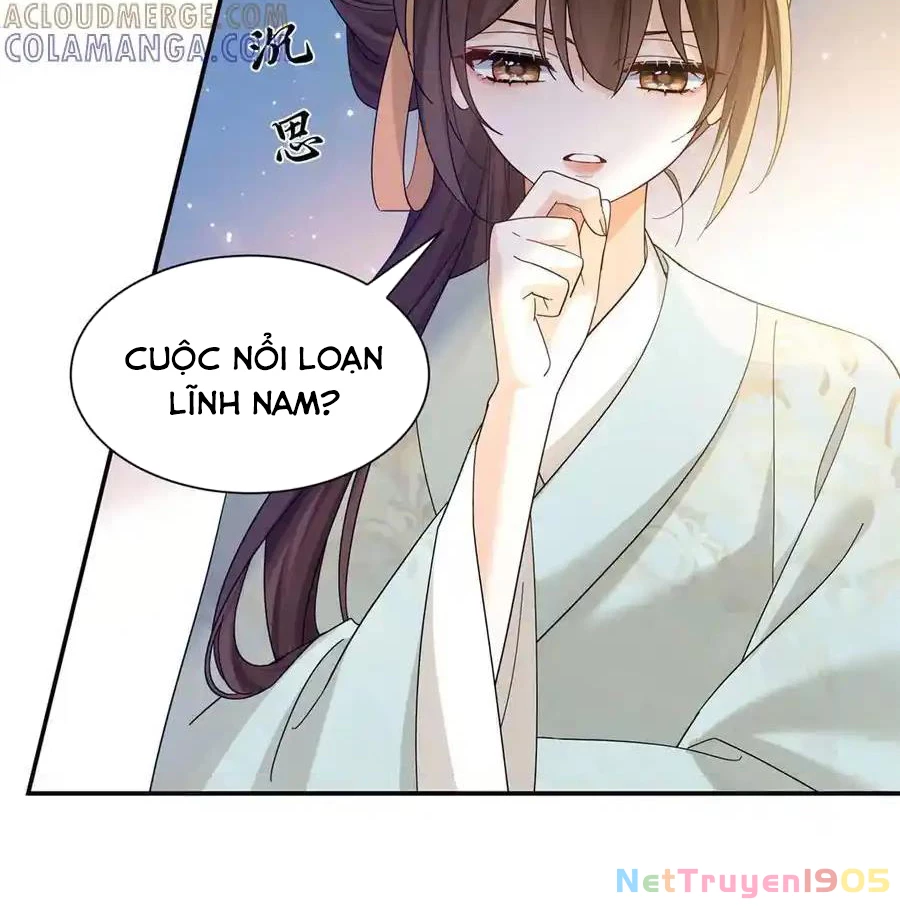 Thiều Quang Mạn Chapter 181 - 13