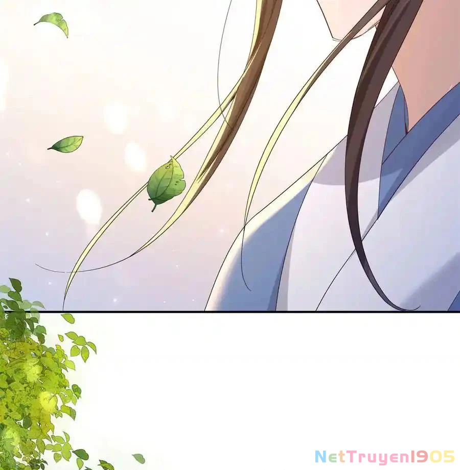 Thiều Quang Mạn Chapter 181 - 31