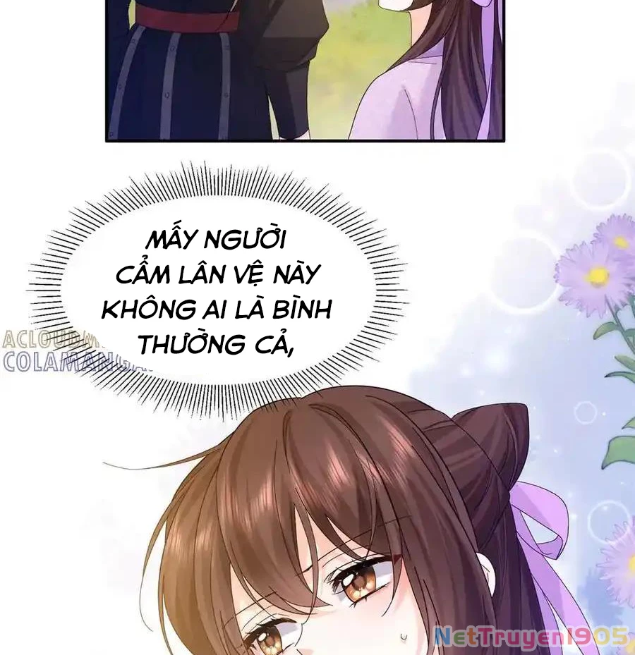 Thiều Quang Mạn Chapter 181 - 46