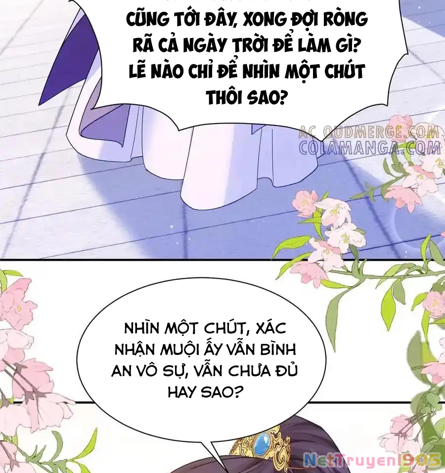 Thiều Quang Mạn Chapter 181 - 66