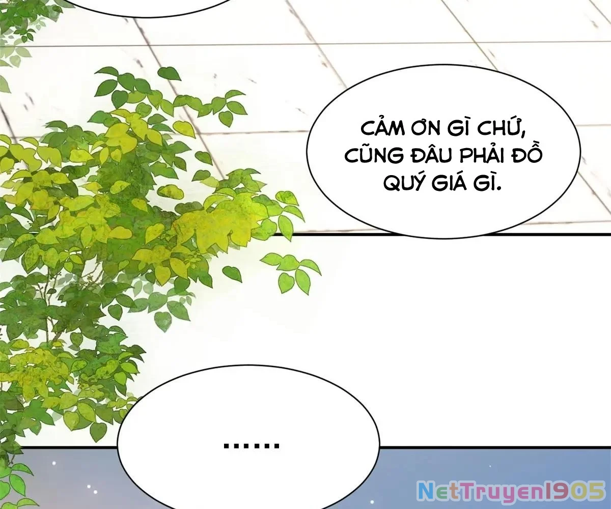 Thiều Quang Mạn Chapter 182 - 94