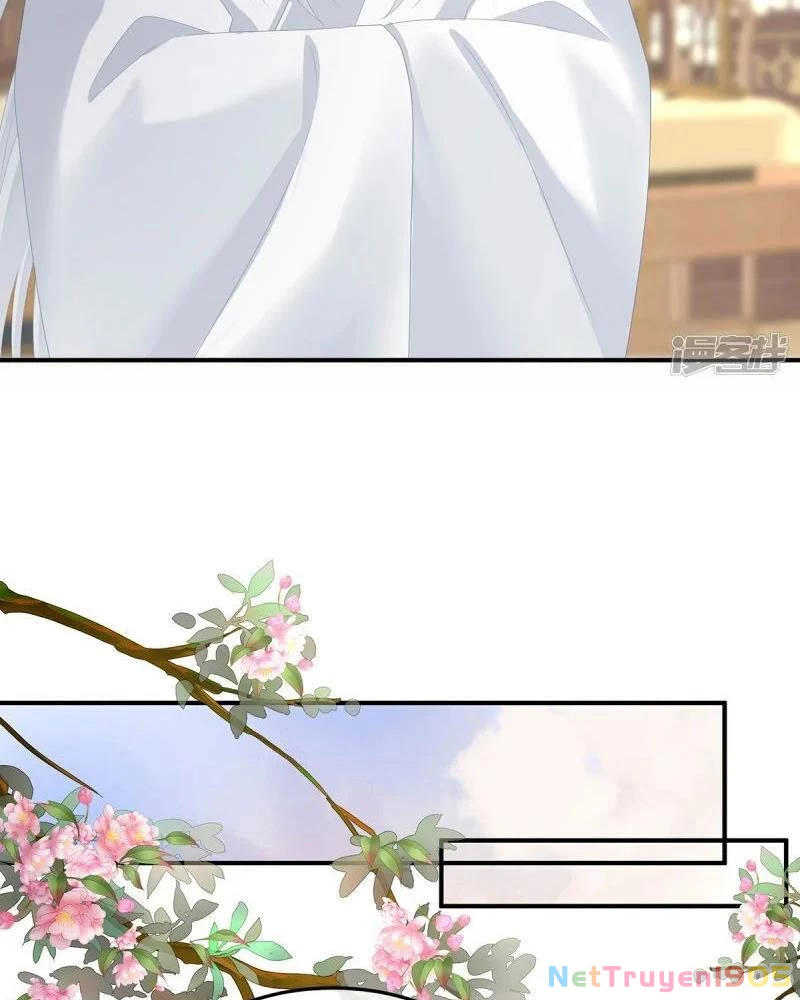 Hậu Cung Của Nữ Đế Chapter 371 - 5