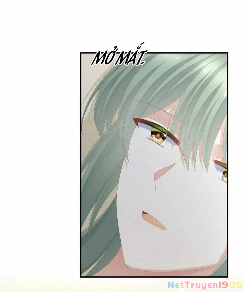 Hậu Cung Của Nữ Đế Chapter 371 - 12