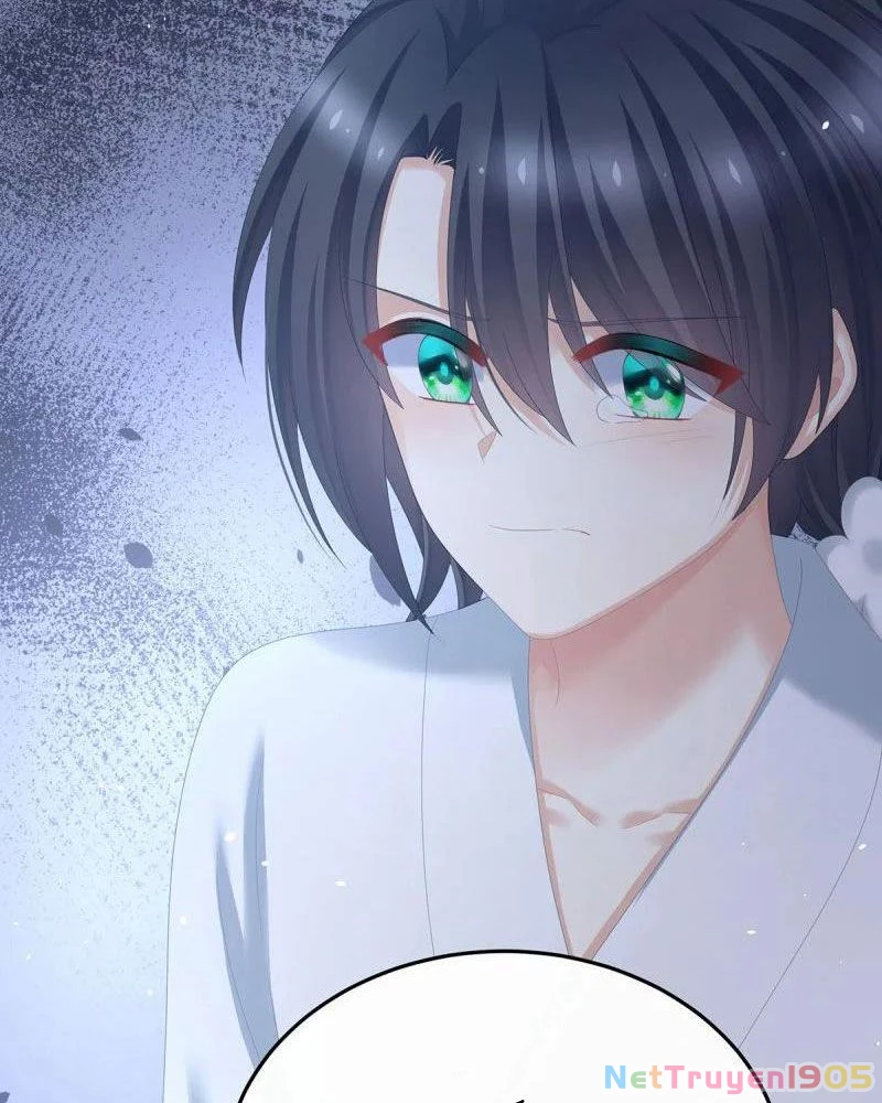 Hậu Cung Của Nữ Đế Chapter 372 - 13