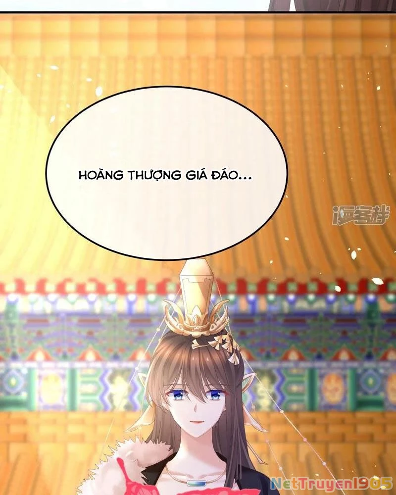 Hậu Cung Của Nữ Đế Chapter 374 - 3