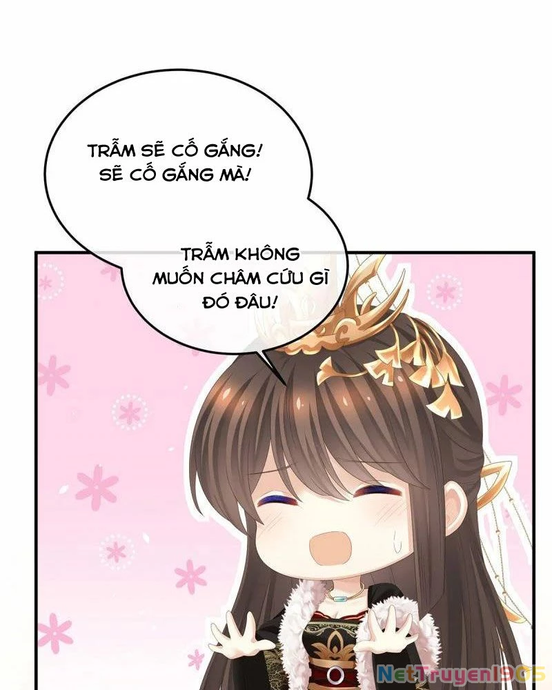 Hậu Cung Của Nữ Đế Chapter 374 - 38