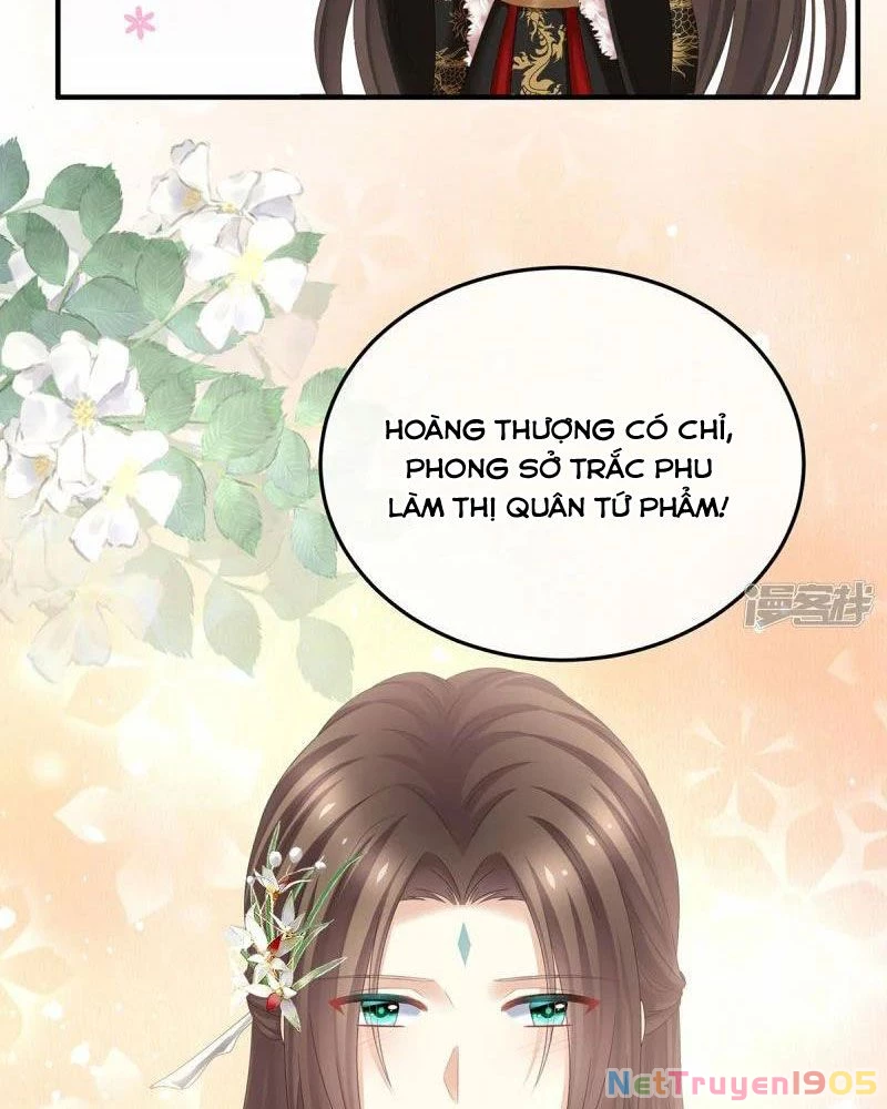 Hậu Cung Của Nữ Đế Chapter 374 - 39