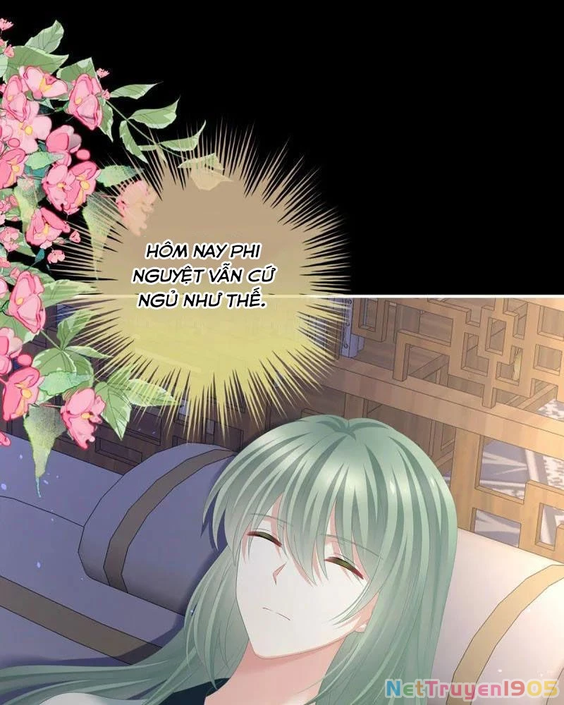 Hậu Cung Của Nữ Đế Chapter 376 - 46