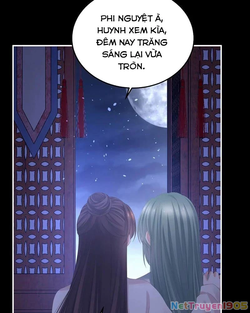Hậu Cung Của Nữ Đế Chapter 377 - 38