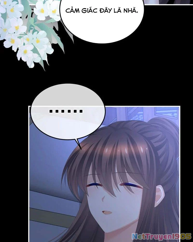 Hậu Cung Của Nữ Đế Chapter 377 - 50