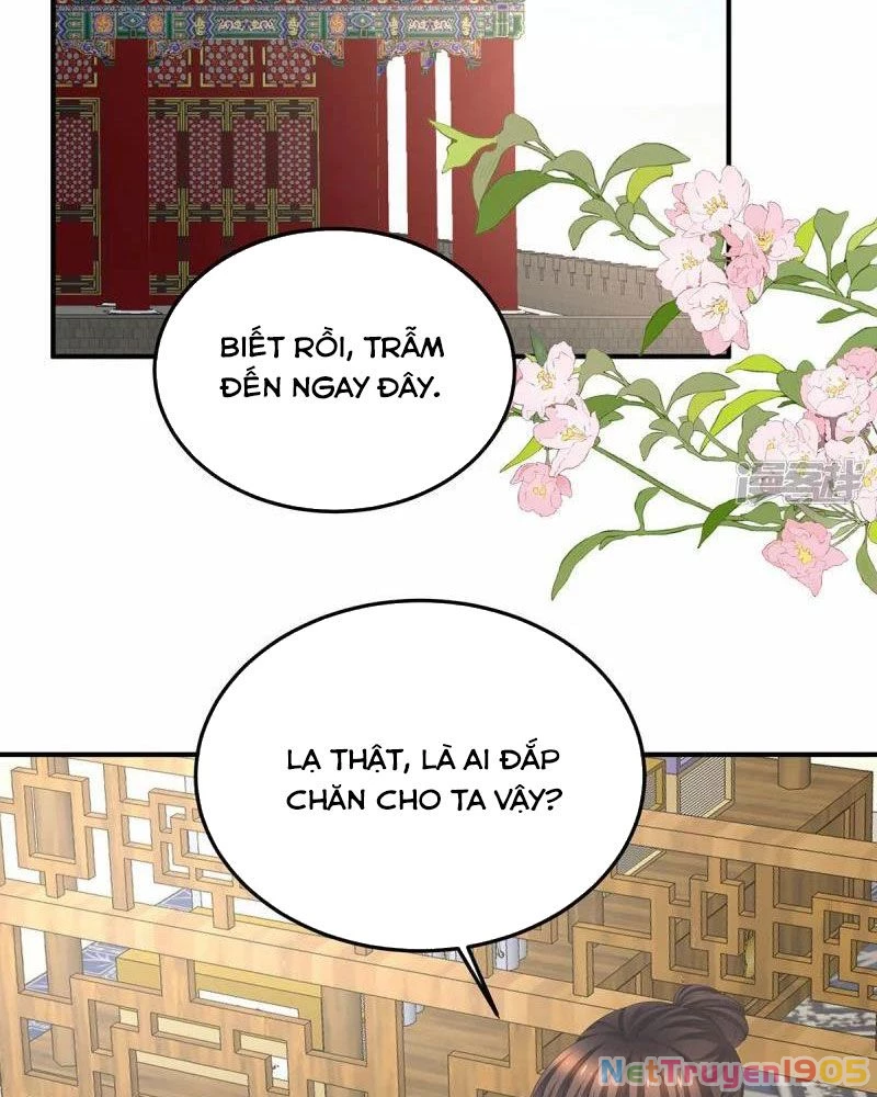 Hậu Cung Của Nữ Đế Chapter 377 - 62