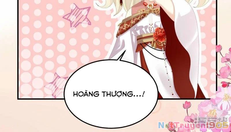 Hậu Cung Của Nữ Đế Chapter 381 - 8