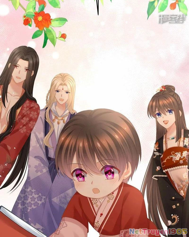 Hậu Cung Của Nữ Đế Chapter 381 - 29