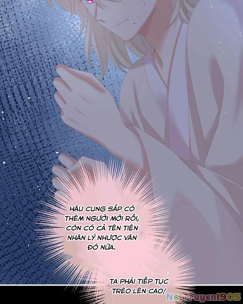 Hậu Cung Của Nữ Đế Chapter 381 - 53