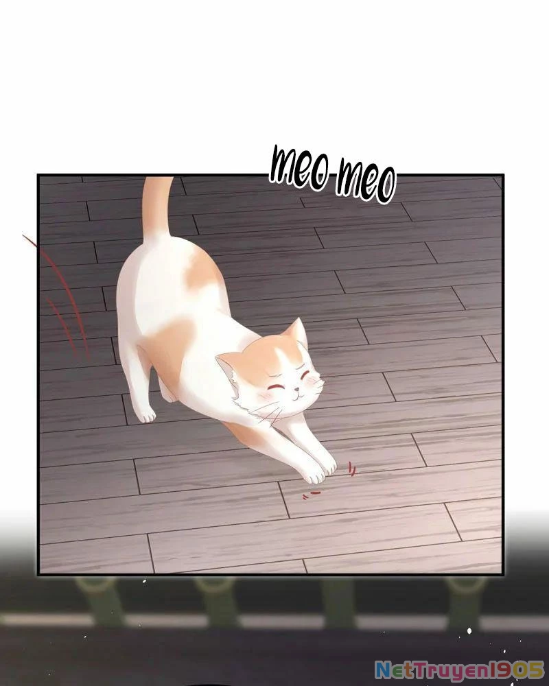 Hậu Cung Của Nữ Đế Chapter 382 - 17