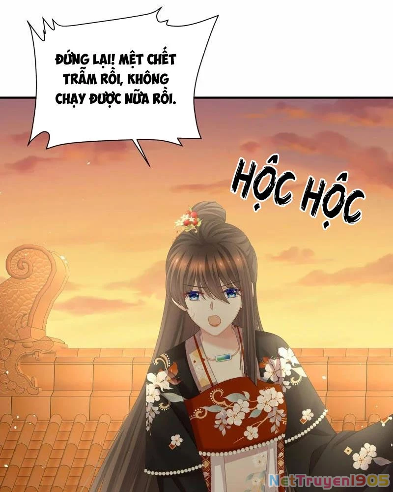 Hậu Cung Của Nữ Đế Chapter 384 - 41