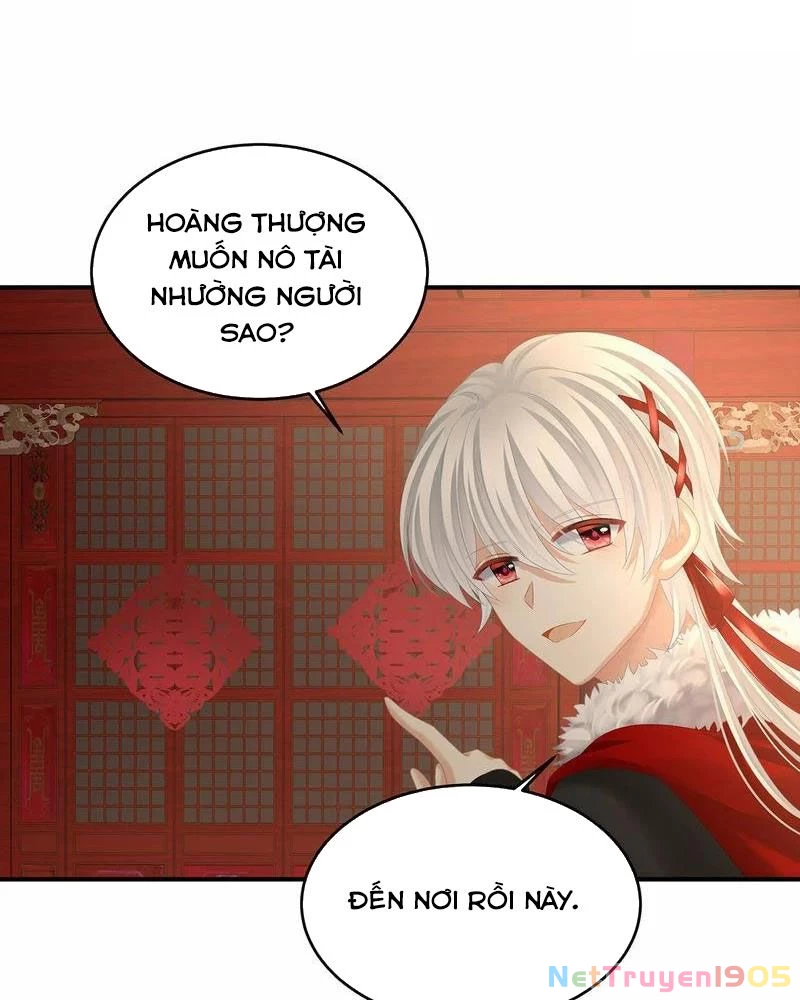 Hậu Cung Của Nữ Đế Chapter 384 - 43
