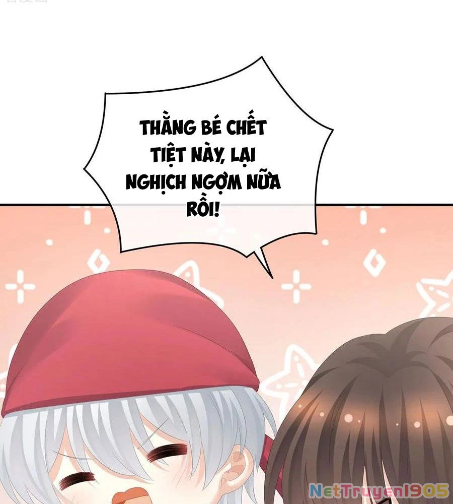 Hậu Cung Của Nữ Đế Chapter 388 - 26