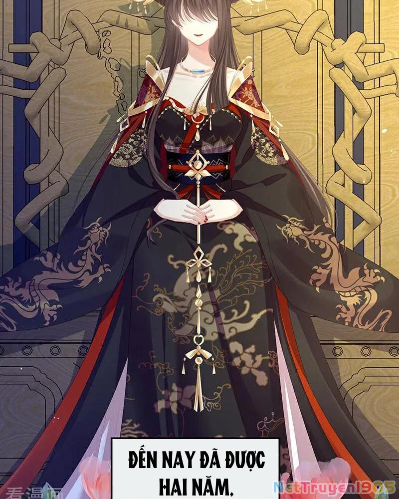Hậu Cung Của Nữ Đế Chapter 390 - 2