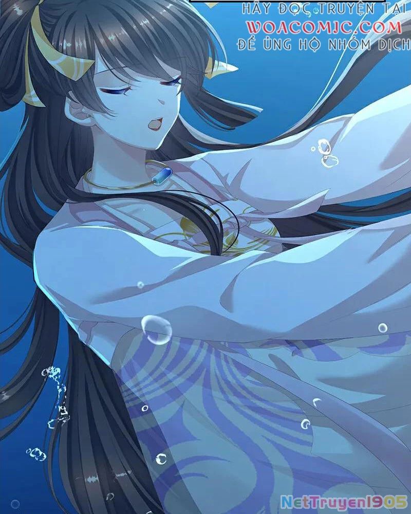 Hậu Cung Của Nữ Đế Chapter 390 - 4