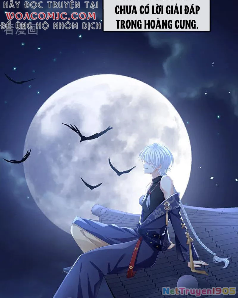 Hậu Cung Của Nữ Đế Chapter 390 - 24