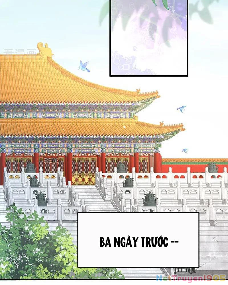 Hậu Cung Của Nữ Đế Chapter 390 - 45