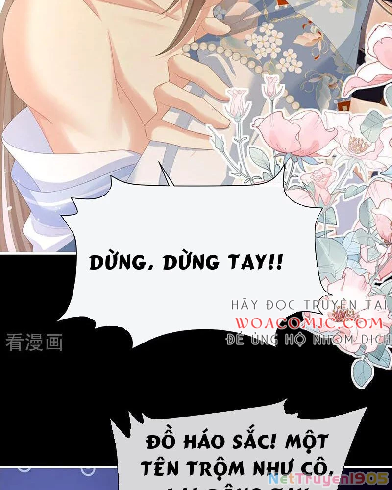 Hậu Cung Của Nữ Đế Chapter 393 - 5