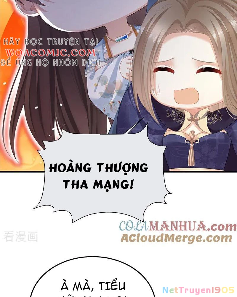 Hậu Cung Của Nữ Đế Chapter 395 - 2