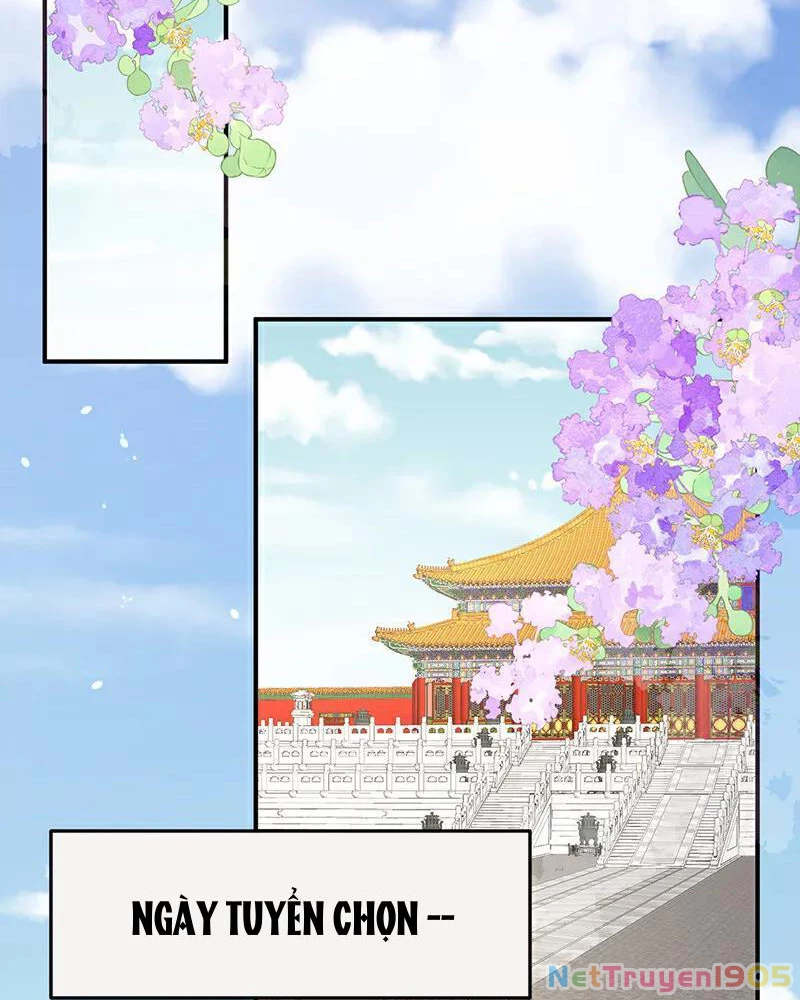 Hậu Cung Của Nữ Đế Chapter 395 - 37