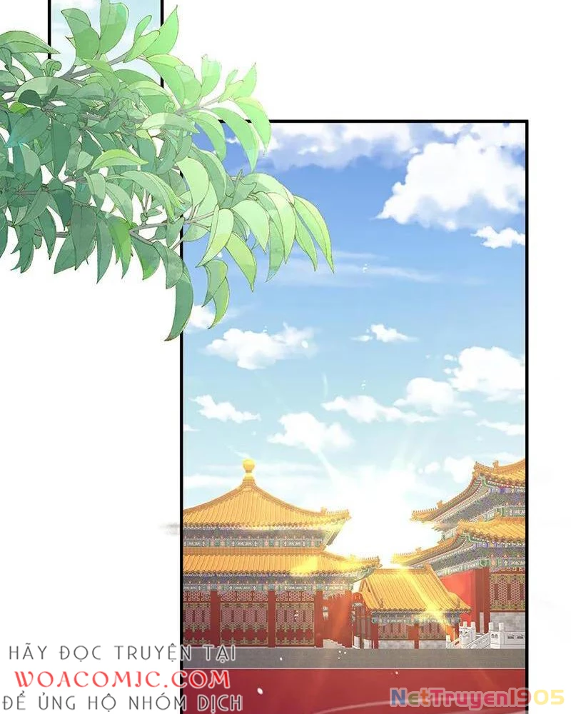 Hậu Cung Của Nữ Đế Chapter 396 - 5