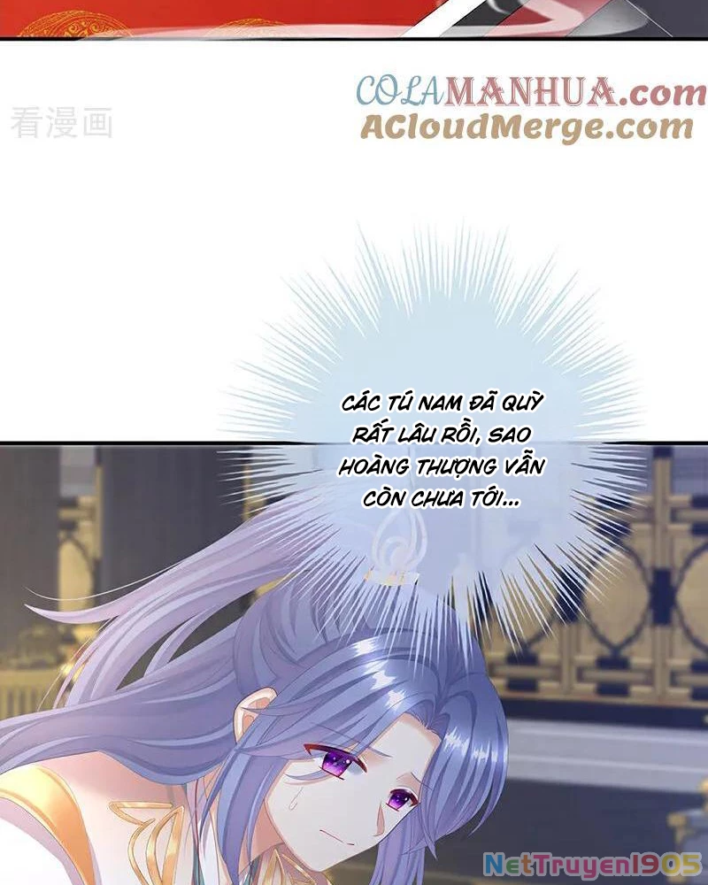 Hậu Cung Của Nữ Đế Chapter 396 - 8