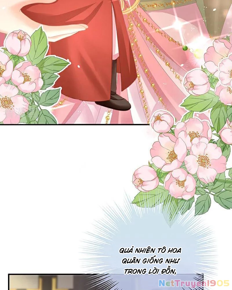 Hậu Cung Của Nữ Đế Chapter 396 - 16