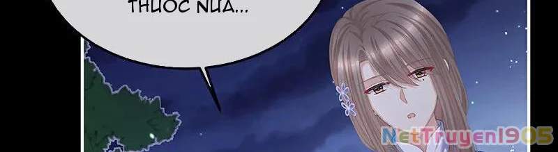 Hậu Cung Của Nữ Đế Chapter 398 - 27