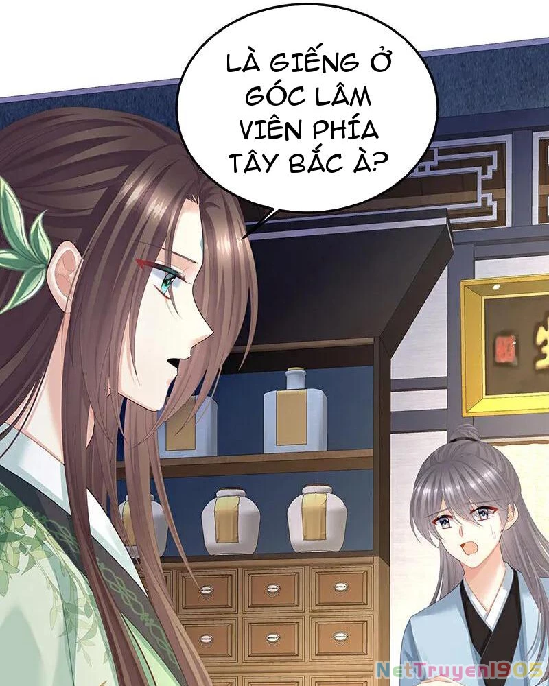 Hậu Cung Của Nữ Đế Chapter 400 - 4
