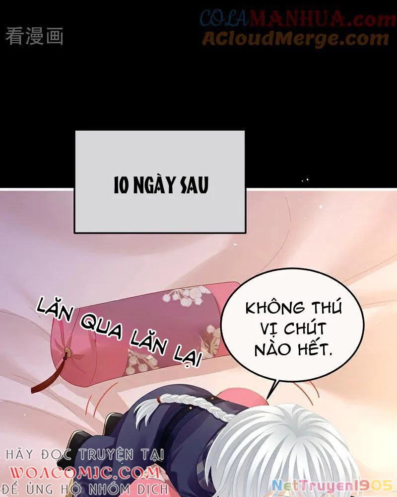 Hậu Cung Của Nữ Đế Chapter 401 - 23