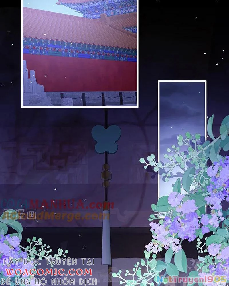 Hậu Cung Của Nữ Đế Chapter 402 - 13