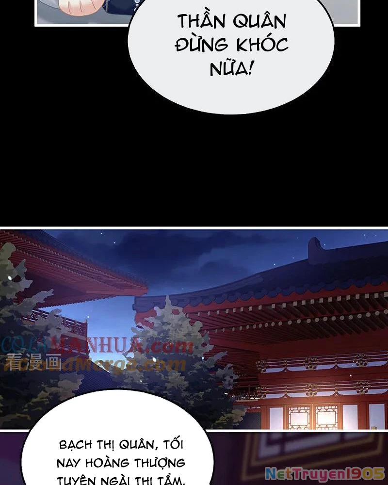 Hậu Cung Của Nữ Đế Chapter 404 - 16