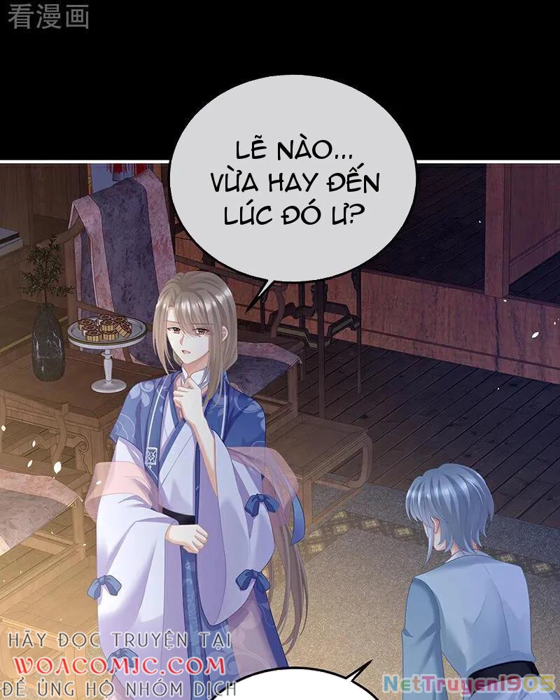 Hậu Cung Của Nữ Đế Chapter 405 - 50