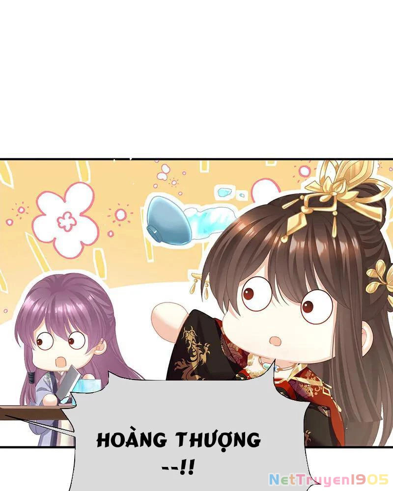 Hậu Cung Của Nữ Đế Chapter 406 - 41