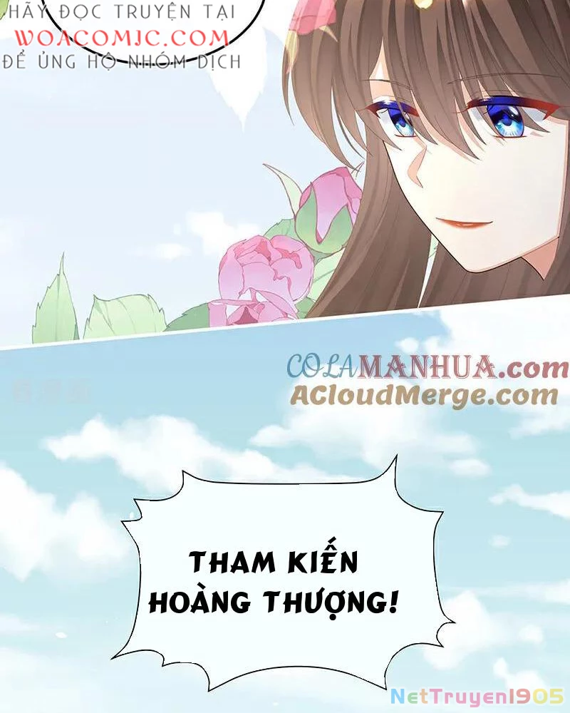 Hậu Cung Của Nữ Đế Chapter 407 - 6