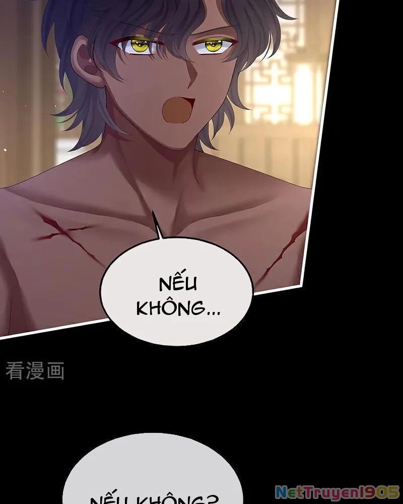 Hậu Cung Của Nữ Đế Chapter 408 - 3