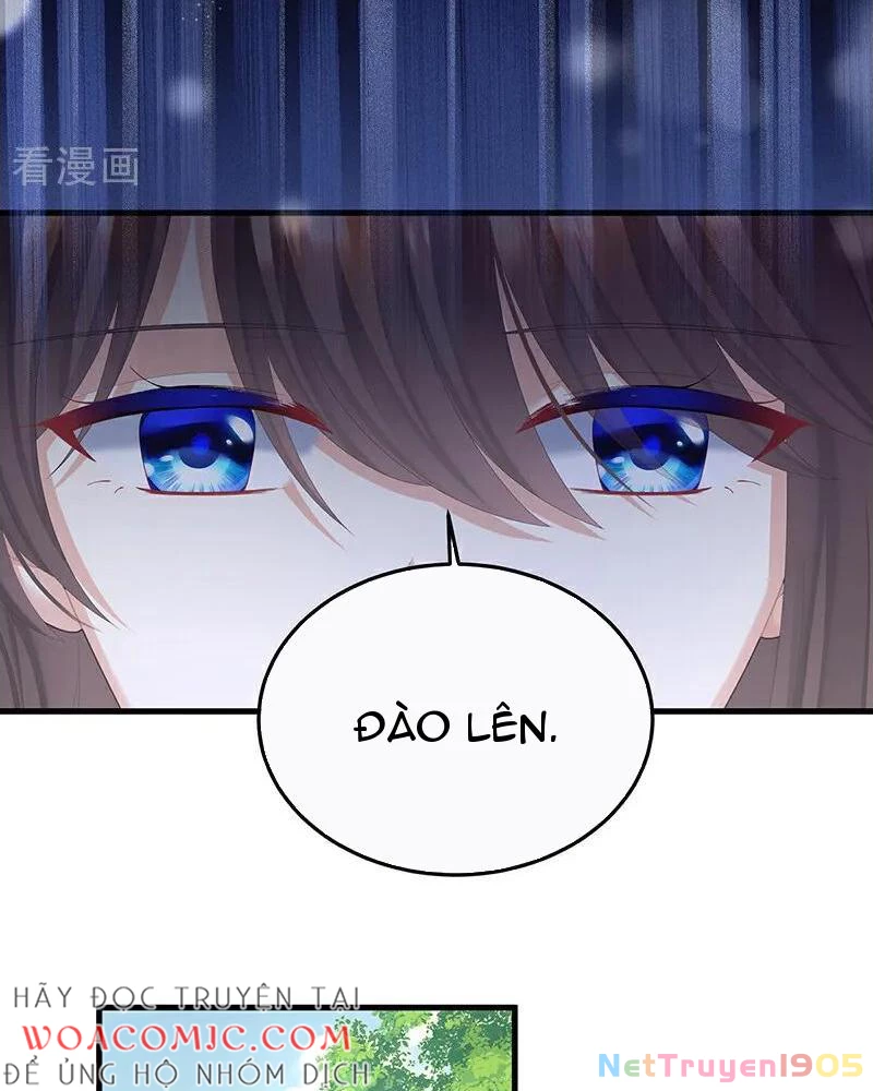 Hậu Cung Của Nữ Đế Chapter 409 - 45