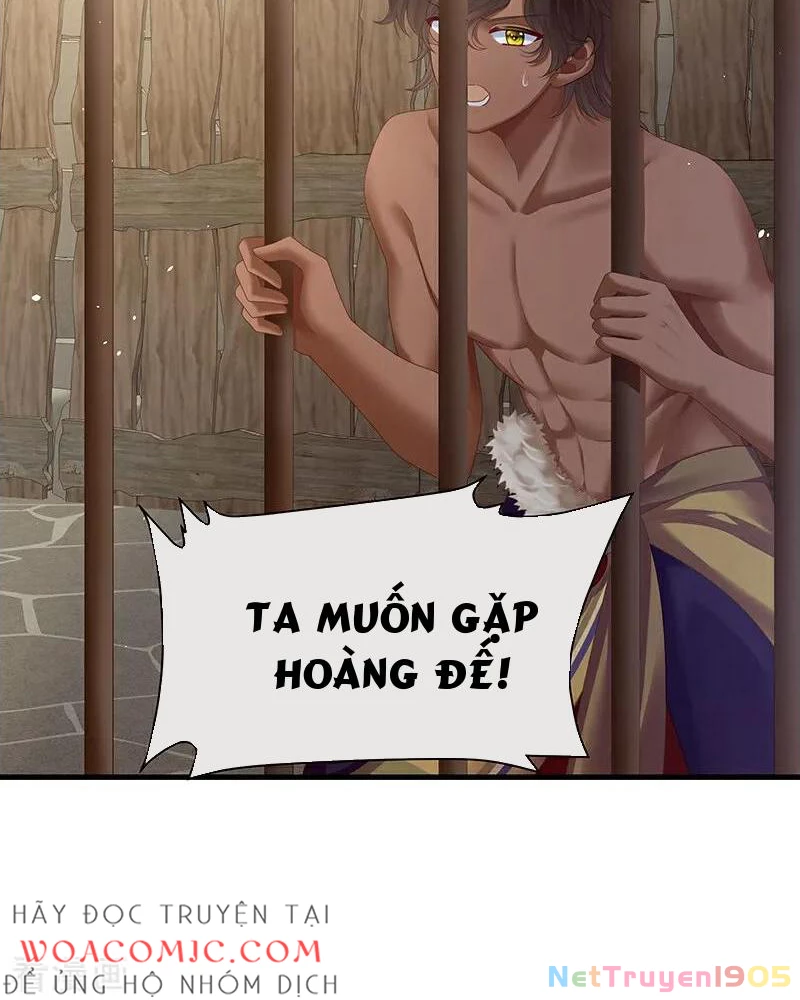 Hậu Cung Của Nữ Đế Chapter 410 - 26