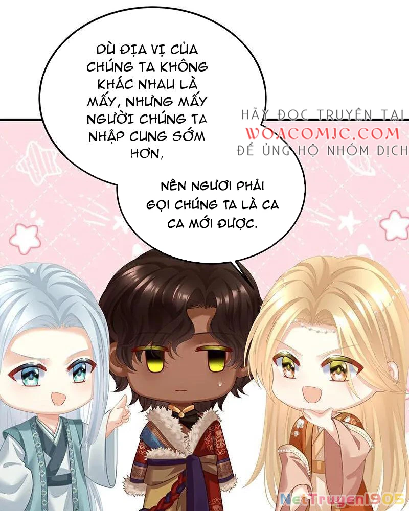 Hậu Cung Của Nữ Đế Chapter 411 - 31