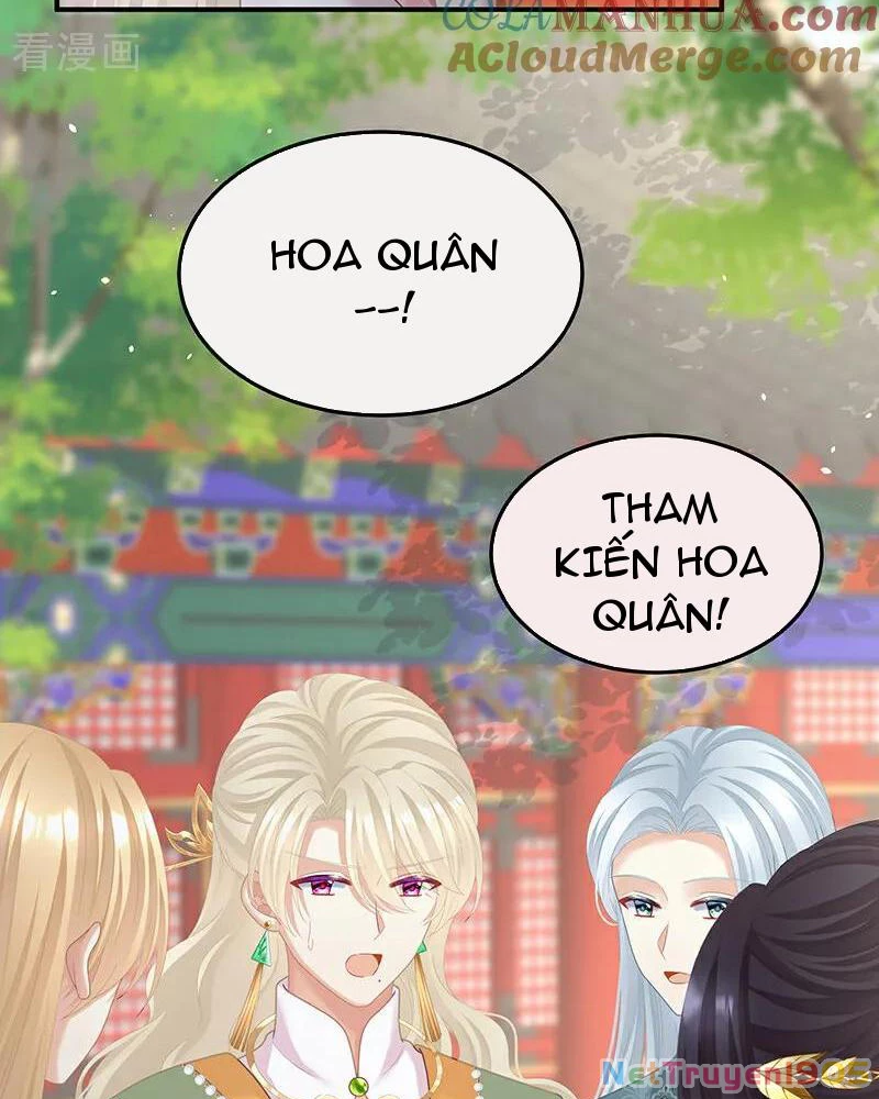 Hậu Cung Của Nữ Đế Chapter 411 - 36
