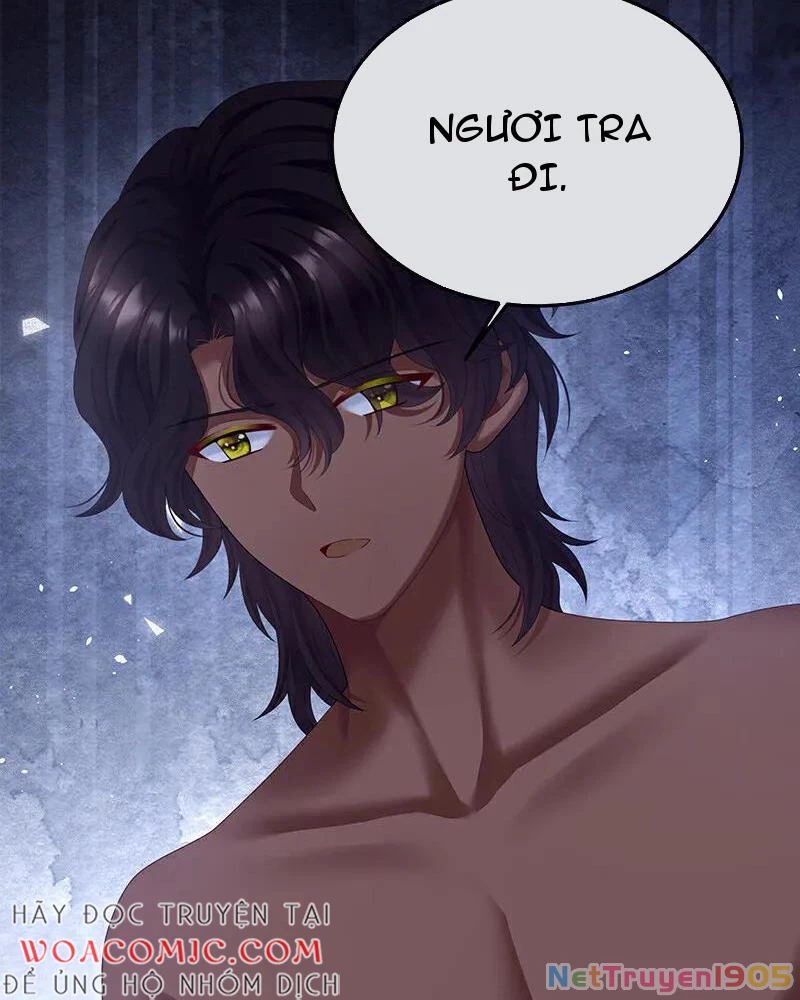 Hậu Cung Của Nữ Đế Chapter 411 - 58