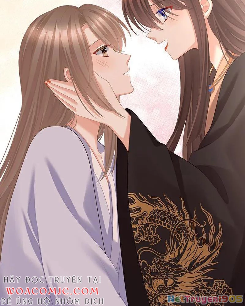 Hậu Cung Của Nữ Đế Chapter 416 - 17