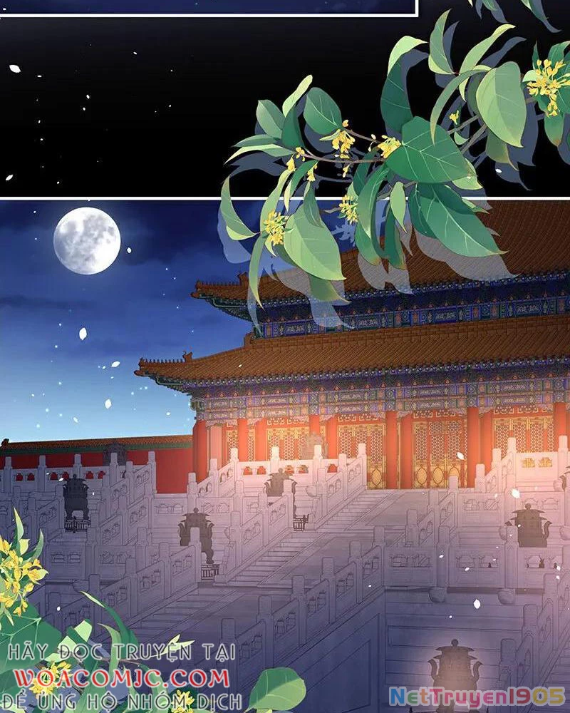 Hậu Cung Của Nữ Đế Chapter 420 - 15