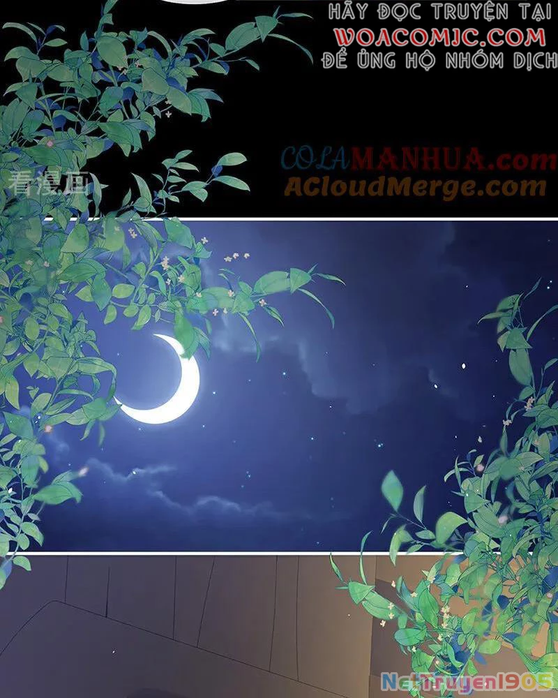 Hậu Cung Của Nữ Đế Chapter 422 - 30