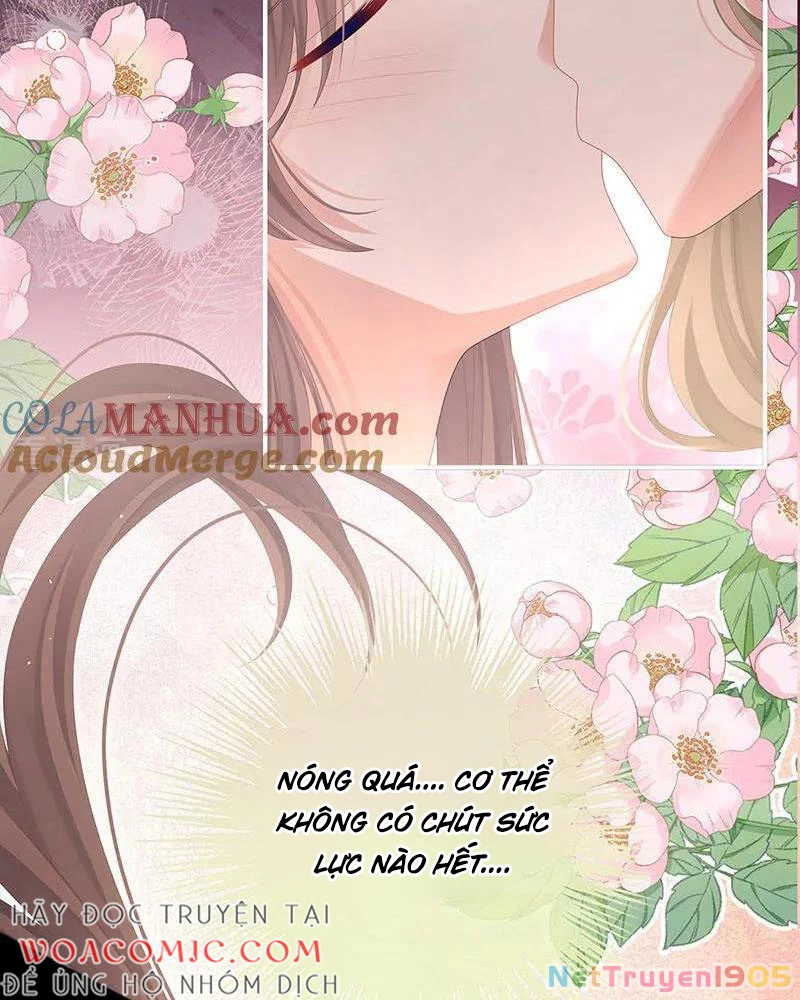 Hậu Cung Của Nữ Đế Chapter 423 - 17